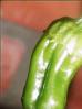 Pimiento dulce Italiano unreife Frucht Bild