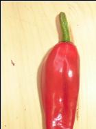 Tazmanian Black Chili Bild