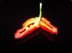 Trinidad Scorpion Green Verkreuzung aufgeschnitten Bild